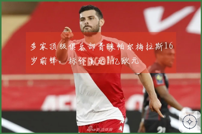 多家顶级俱乐部青睐帕尔梅拉斯16岁前锋，标价高达1亿欧元